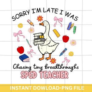 Leraar speciaal onderwijs png, Teacher Goose png, ondersteuning speciale behoeften png, cadeau leraar waardering png