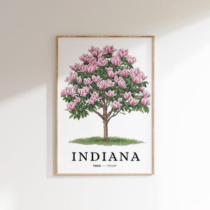 Print met staat Indiana | Tulpenboom | Afdrukbare zuidelijke muurkunst | Staatssymboolkunst | Minimalistisch woondecoratie | Botanische illustratie