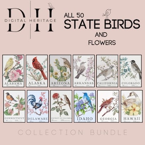 Láminas de aves y flores estatales / Paquete de impresiones digitales de los 50 estados de EE. UU. / Descarga instantánea / Arte mural / Decoración del hogar / Arte imprimible / Colección