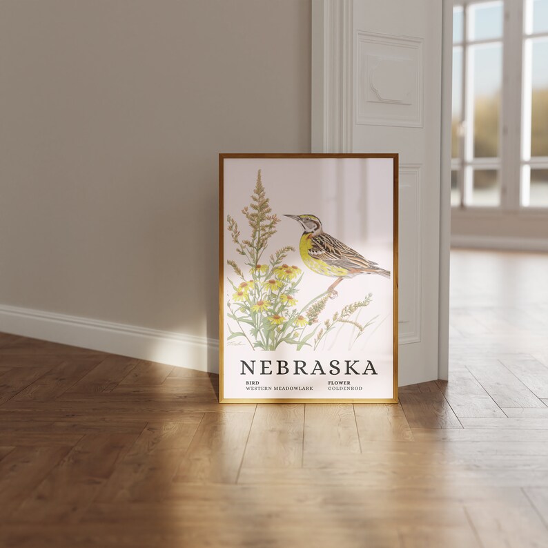 NEBRASKA Western Meadowlark State Bird and Goldrute Art Print