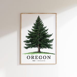May include: A printable poster featuring a stylized illustration of a Douglas Fir tree, the state tree of Oregon. The poster has a white background with the text "OREGON" and "TREE - DOUGLAS FIR" in black.