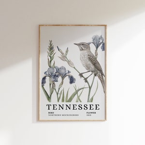 TENNESSEE Mockingbird State Bird und Iris Flower Art Print - Mockingbird, Iris Blumenkunst, Tennessee State Wall Art Print