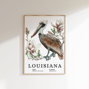 Louisiana Brown Pelican & Magnolia Art Print (Digital Download)