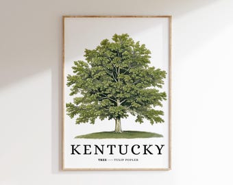 Puede incluir: Una impresión enmarcada con un árbol de tulipán verde, el árbol del estado de Kentucky. La impresión tiene el texto "KENTUCKY" y "TREE - TULIP POPLAR" debajo de la imagen.