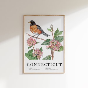 Connecticut State Bird Art Print: American Robin & Mountain Laurel (Digital Download)