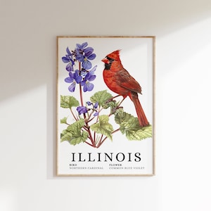 ILLINOIS Northern Cardinal State Bird y Common Blue Violet Art Print - pájaro cardenal, arte de flores violetas, cardenal de illinois, impresión de illinois