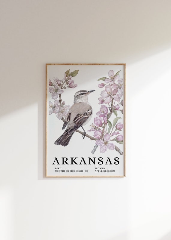 Arkansas State Bird Print: Mockingbird and Apple Blossom Art