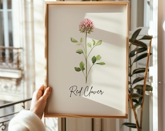 Vermont Red Clover Flower Line Art Print (Digital Download)