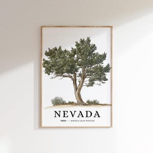 May include: A framed print with a watercolor illustration of a single leaf pinyon tree, the state tree of Nevada. The print has the text "NEVADA" and "TREE - SINGLE LEAF PINYON" below the illustration.