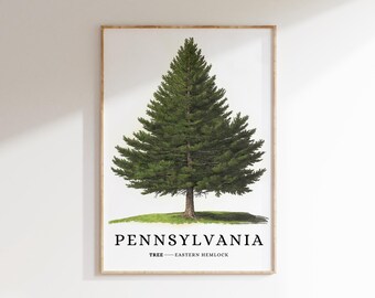 Östlig hemlockträdtryck: Pennsylvanias statssymbol (digital nedladdning)
