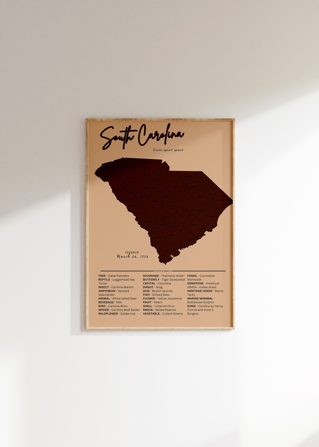 South Carolina Vintage Map Print: US State Wall Art (digital Download ...