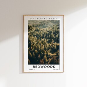 REDWOOD National Park Travel Print - redwoods california travel poster, redwood park gift, redwoods travel print, redwoods national park art