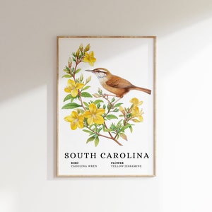 SOUTH CAROLINA Carolina Wren State Bird and Yellow Jessamine Flower Art Print - wren bird, jessamine flower art, south carolina wall art