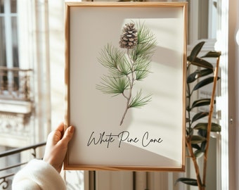 Maine White Pine Cone Line Art Print: Botanical Wall Decor (Digital Download)