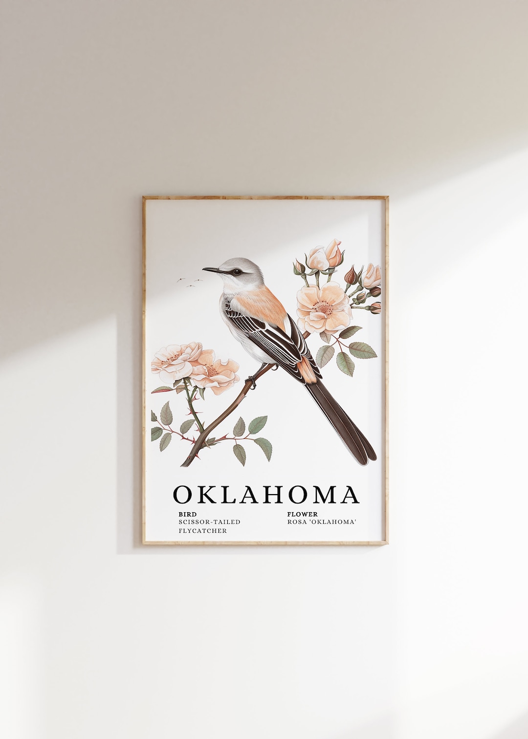 Oklahoma Scissor-tailed Flycatcher Art Print: State Bird &amp; Camellia ...