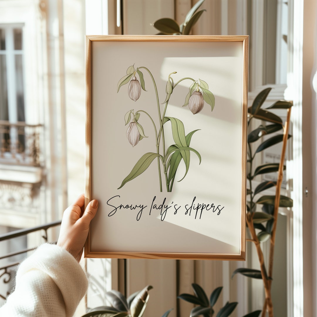 Minnesota State Flower Line Art Print: Showy Lady's Slipper (digital ...