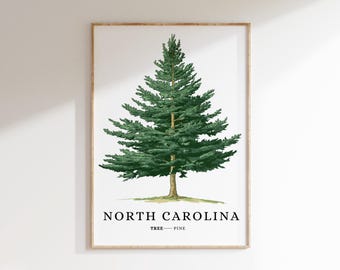 May include: A framed print featuring a green pine tree with the text "NORTH CAROLINA TREE - PINE" below it.