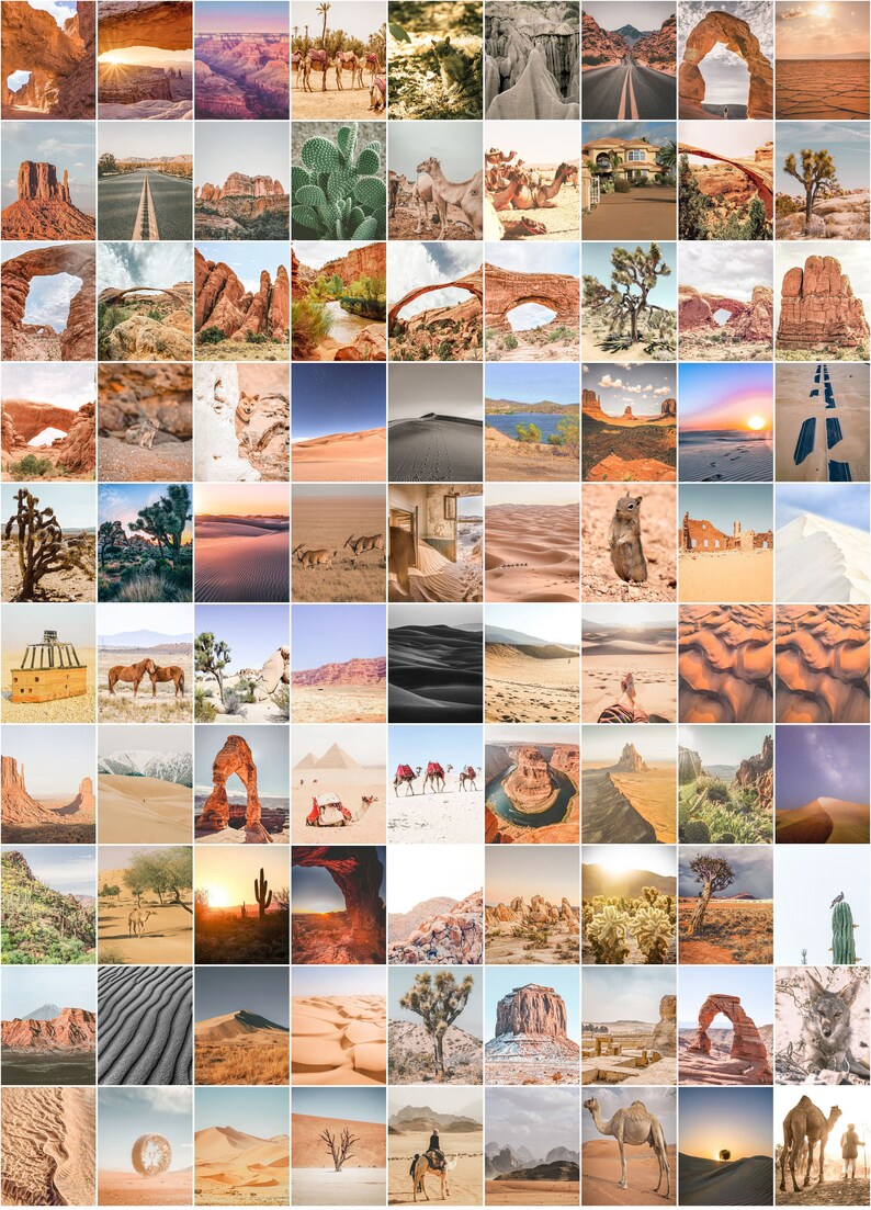 Puede incluir: Un collage de fotograf&iacute;as con paisajes des&eacute;rticos, arcos, cactus y camellos. Las im&aacute;genes muestran dunas de arena, formaciones rocosas y fauna, con una paleta de colores c&aacute;lidos y terrosos, evocando aventura.