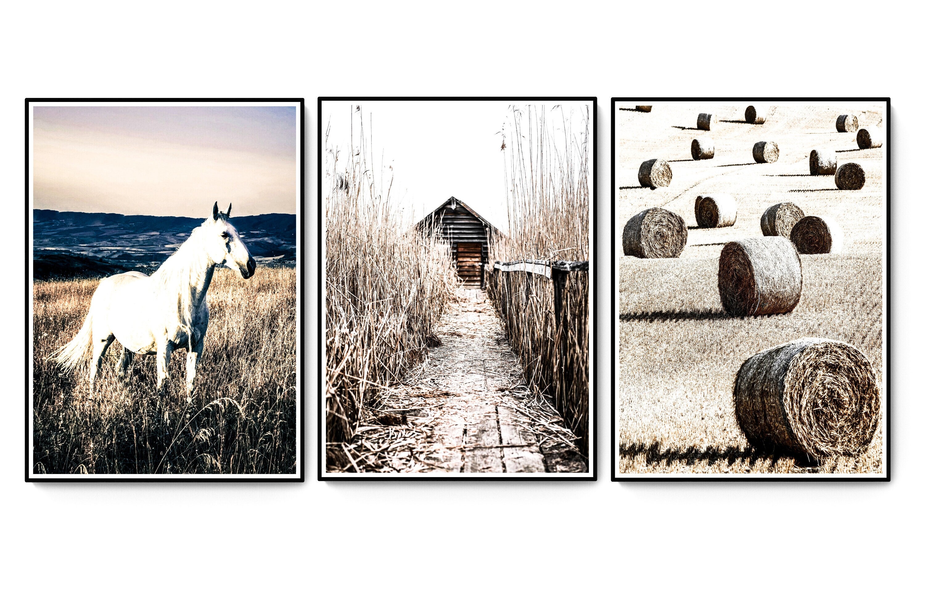 Set of 650 Farmhouse Prints, Rustic Wall Prints Farm Prints, Farm Animal Prints, Rustic