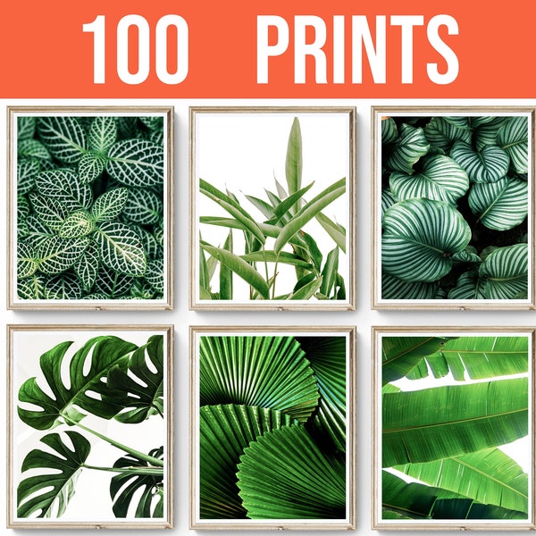 Set of 200 Botanical Wall Art Print, Leaf Print, Botanical Room Decor, Monstera Leaf Print Set, Tropical Palm Leaf, Tropical Plants Print