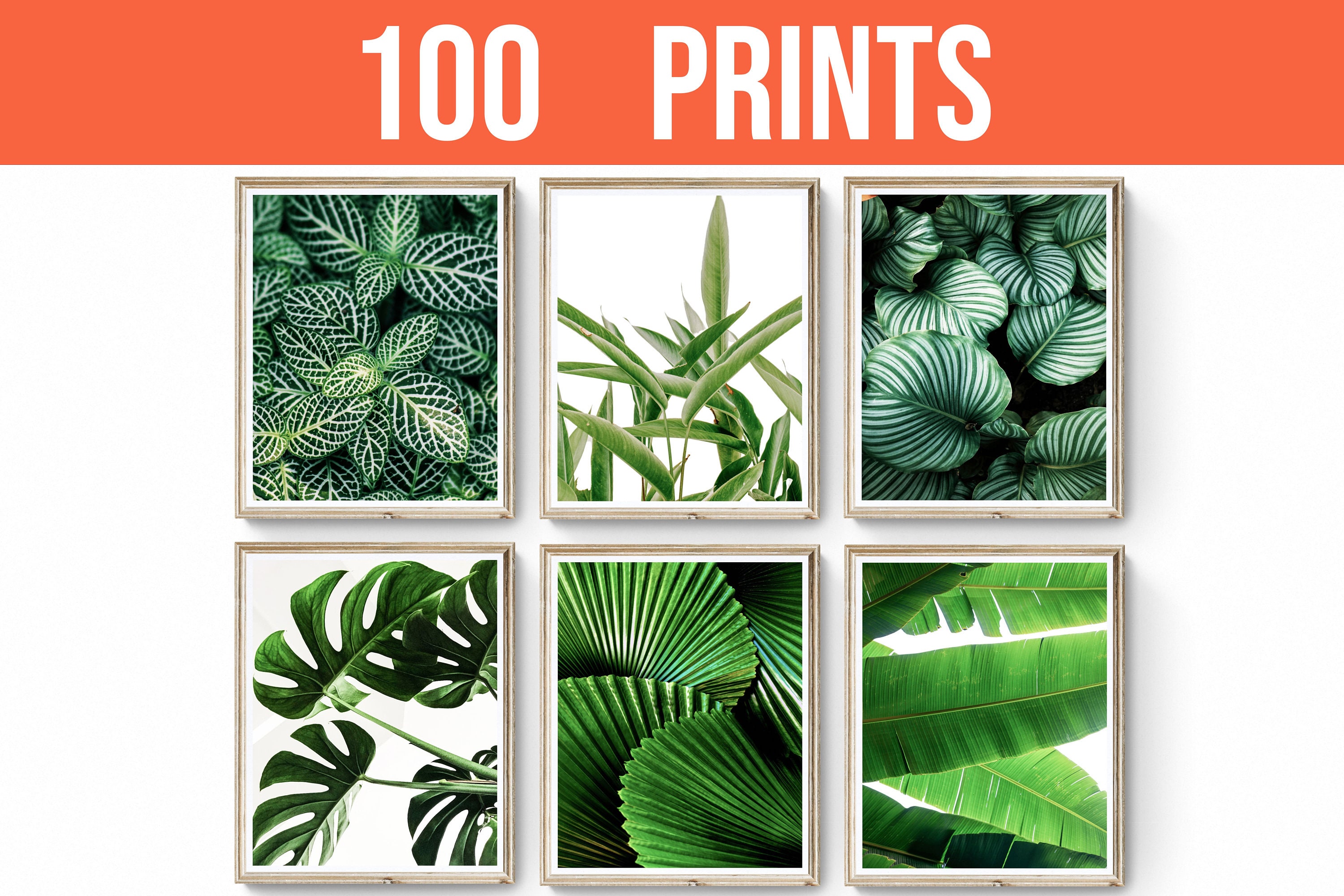 Tropical Wall Art Etsy -