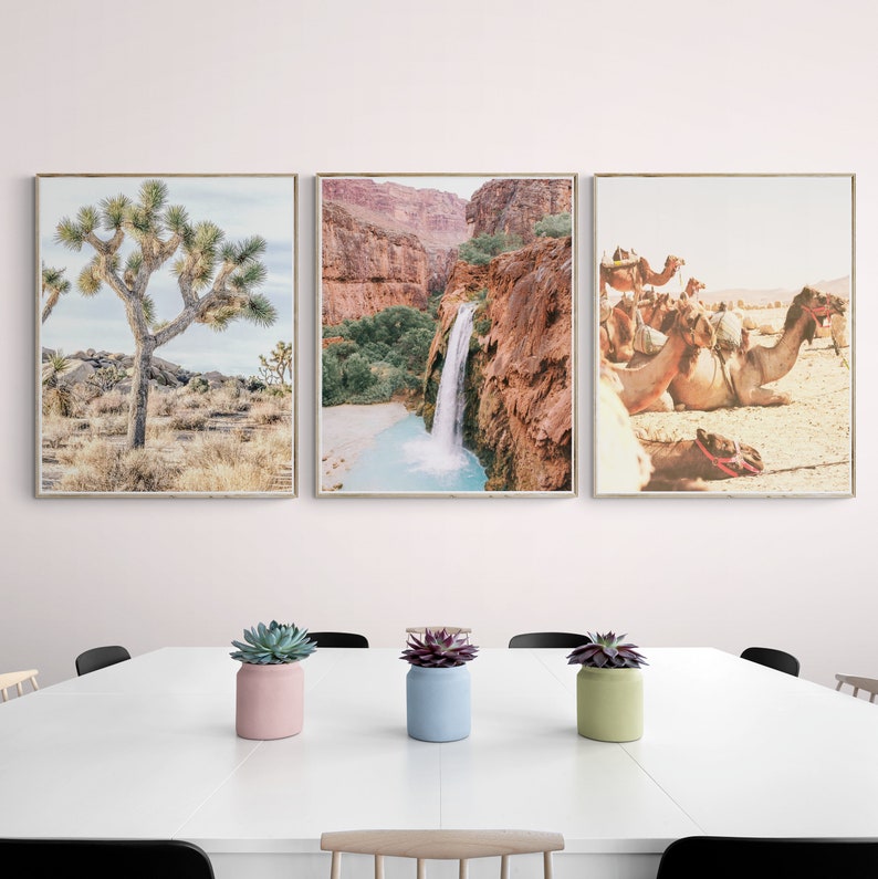Puede incluir: Tres impresiones enmarcadas de paisajes. La primera presenta un &aacute;rbol de Josu&eacute; en un entorno des&eacute;rtico. La segunda representa una cascada que cae en una piscina turquesa. La tercera muestra camellos descansando en el desierto.