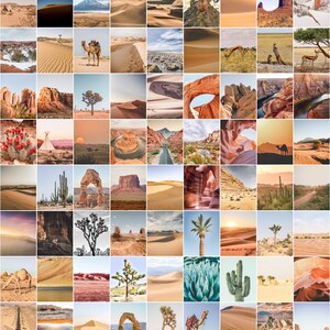 Puede incluir: Una cuadr&iacute;cula de fotograf&iacute;as de paisajes des&eacute;rticos. Las im&aacute;genes presentan dunas de arena, formaciones rocosas, cactus, &aacute;rboles de Josu&eacute; y camellos. La paleta de colores est&aacute; dominada por tonos c&aacute;lidos de beige, marr&oacute;n y naranja, con toques de azul y verde.