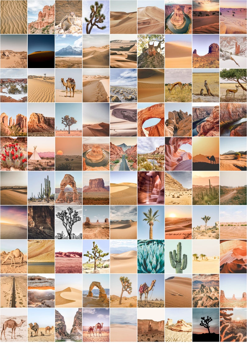 Puede incluir: Una cuadr&iacute;cula de fotograf&iacute;as de paisajes des&eacute;rticos. Las im&aacute;genes presentan dunas de arena, formaciones rocosas, cactus, &aacute;rboles de Josu&eacute; y camellos. La paleta de colores est&aacute; dominada por tonos c&aacute;lidos de beige, marr&oacute;n y naranja, con toques de azul y verde.