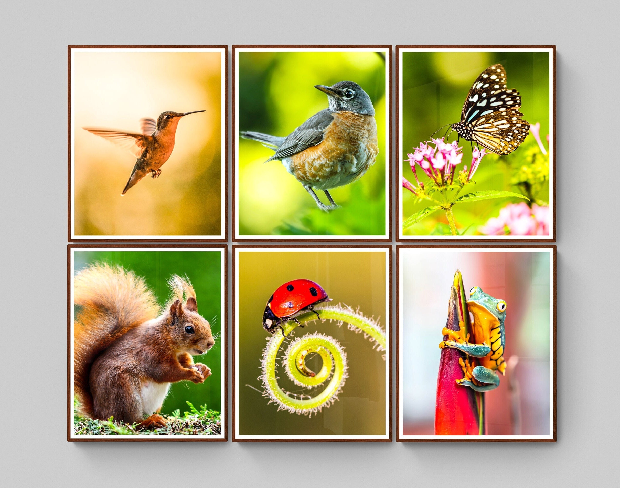 Set of 500 Spring Wall Art Prints, Spring Decor Print Set, Spring