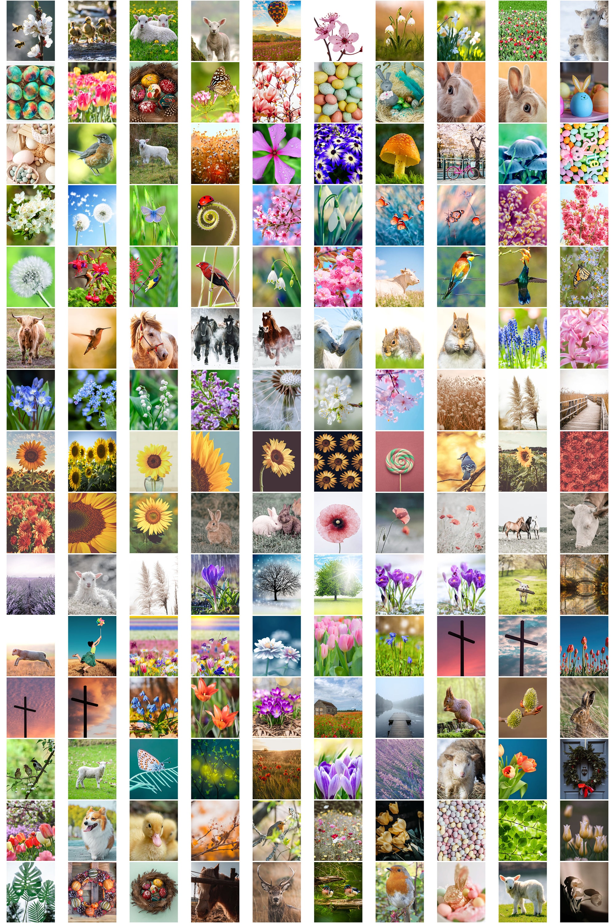 Set of 500 Spring Wall Art Prints, Spring Decor Print Set, Spring