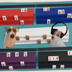 Siamese Mah Jongg® Racks  - Double Handed Set with black Pushers! Includes 2 racks and 2 pushers. All colors available except black