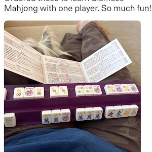 May include: A purple plastic Mahjong rack holding white tiles with colorful symbols and Joker labels, accompanied by a tri-fold instructional card with the text: Ordered these to learn Siamese Mahjong with one player. So much fun!
