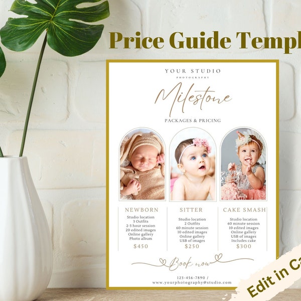 Maternity Price List Template Etsy