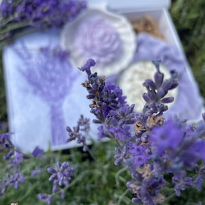 Lavender Gift Set Box - Pamper Letterbox