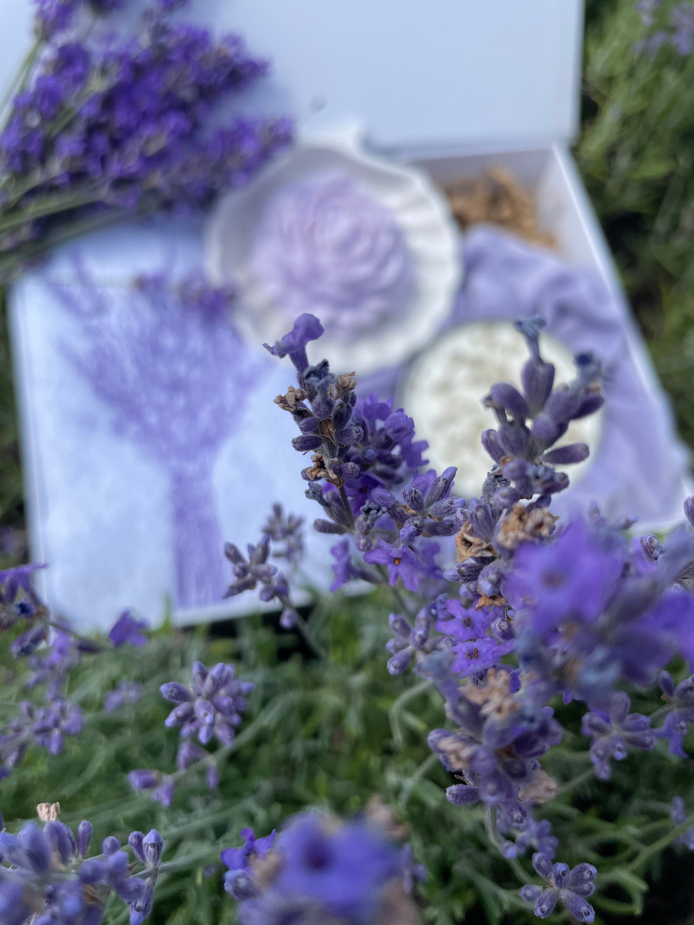 Geschenkset Lavendel  für Lavendel-Liebhaber