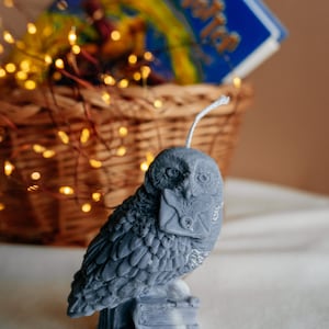 Buckbeak (The owl) - Magic candles collection