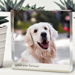 May include: A clear glass photo block with a picture of a white dog with the text "Love you forever" printed on the bottom.