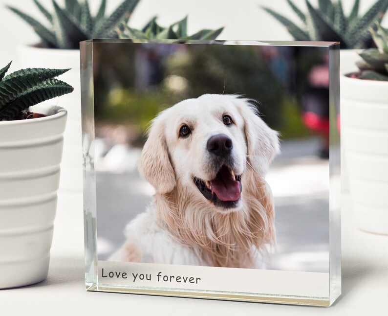 May include: A clear glass photo block with a picture of a white dog with the text "Love you forever" printed on the bottom.