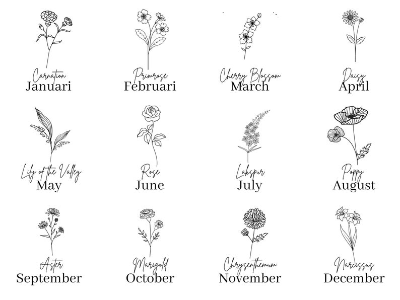 Puede incluir: Una ilustraci&oacute;n en blanco y negro de flores que representan cada mes del a&ntilde;o. Las flores est&aacute;n etiquetadas con sus nombres comunes y el mes que representan. Enero: Clavel, Febrero: Primula, Marzo: Flor de cerezo, Abril: Margarita, Mayo: Lirio de los valles, Junio: Rosa, Julio: Delphinium, Agosto: Amapola, Septiembre: Aster, Octubre: Cal&eacute;ndula, Noviembre: Crisantemo, Diciembre: Narciso.