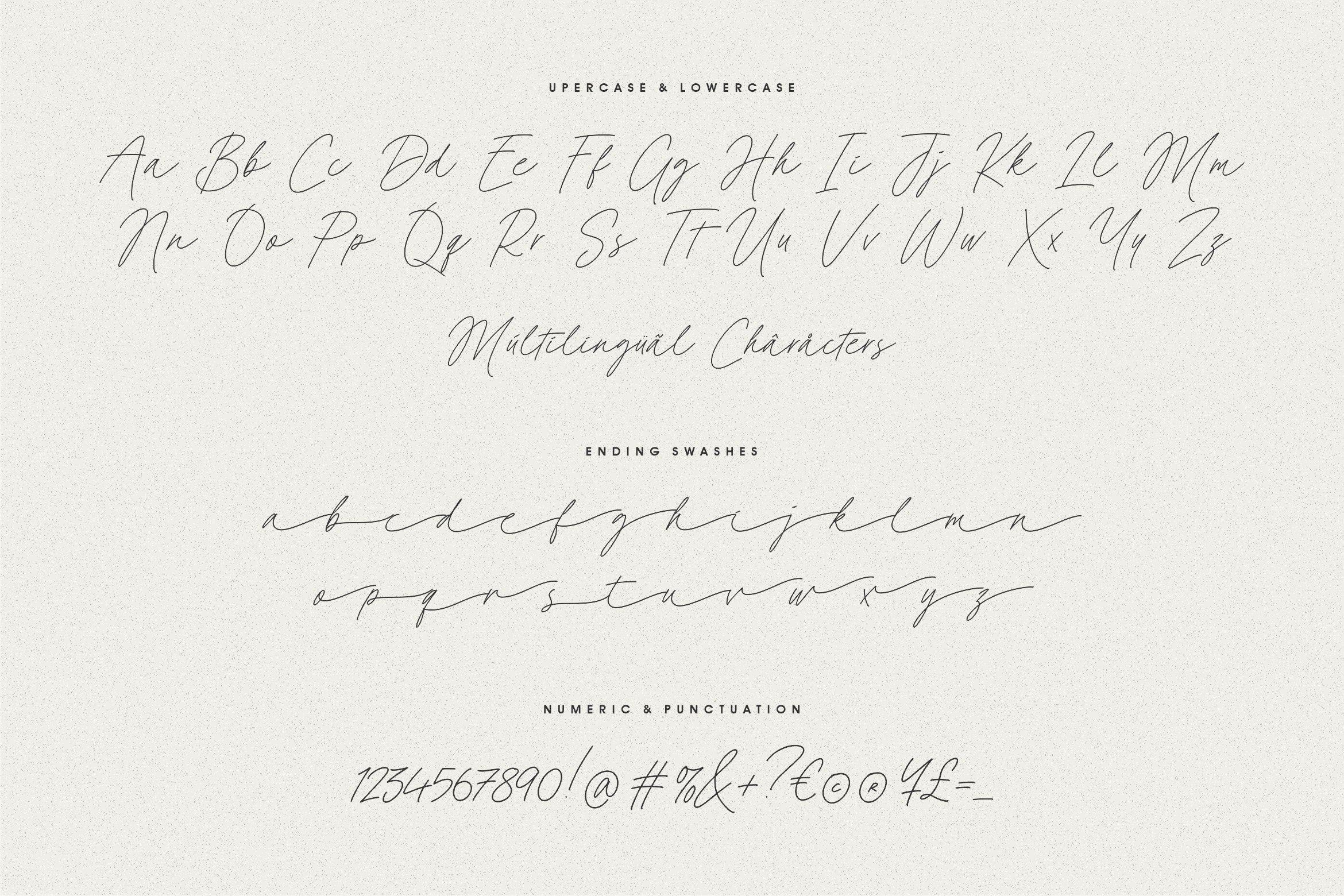 Cassandre Script Font SVG Font Procreate Fonts Cricut Etsy