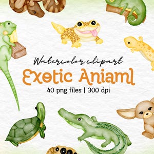 Aquarelle animaux exotiques Clipart Set peint à la main caméléon tortues grenouilles serpents hérisson cochon loutre fennec renard PNG illustration de la faune