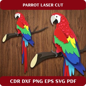 Puede incluir: Dos diseños de loros coloridos cortados con láser, posados en ramas. Los loros presentan plumas rojas, verdes, amarillas y azules, con picos blancos y negros. Se muestra el texto "PARROT LASER CUT" y "CDR DXF PNG EPS SVG PDF".