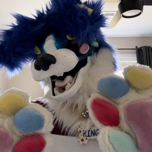 以下が含まれることがあります： カラフルな肉球が付いた青と白の毛皮のコスチューム。コスチュームはピンクの舌を出した犬のような顔をしています。コスチュームは赤いストライプの入った白いシャツを着ており、「KING」と書かれた犬のタグが付いています。