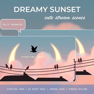 Könnte beinhalten: Animierte Stream-Szene mit einem rosa und blauen Sonnenuntergang, einem Halbmond und Vögeln, die auf Stromleitungen sitzen. Der Text "STARTING SOON..." wird auf der Szene angezeigt.