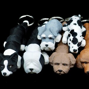 Könnte beinhalten: Ein Set mit neun verschiedenen Hunderassen-Schlüsselanhängern. Die Schlüsselanhänger sind aus weichem, gummiartigem Material gefertigt und weisen realistische Details auf. Die Hunde umfassen einen Dalmatiner, einen Corgi, einen Schnauzer, einen Pudel, einen Terrier und mehr.