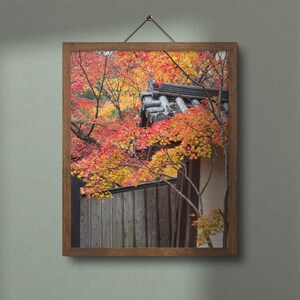 Japanischer Druck | Japan-Reise-Fotografie | Kyoto-Druck | Herbst Blätter Druck | Japanische Kunst