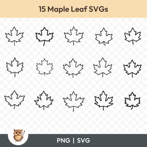 Ahornblatt SVG-Bundle, Ahornblatt Umriss Clipart, 15 Ahornblätter-Schnittdateien für Cricut, PNG und SVG, Vektor-Bild-Schnittdateien, printable