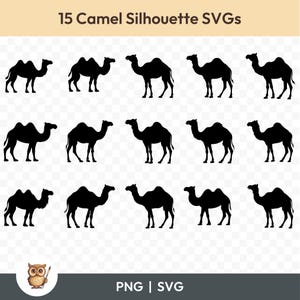 Pacchetto SVG silhouette cammello, Clipart cammello, 15 file di taglio cammello per Cricut, PNG e SVG, file di taglio immagine vettoriale, stampabili
