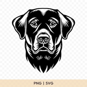 Labrador Retriever SVG: Labrador Retriever Cut File, Labrador Retriever PNG, Labrador Silhouette, Labrador Cricut, Labrador Clipart