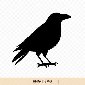 May include: A black silhouette of a crow, facing right, with its beak slightly open. The bird is standing with its legs visible, and its wings are folded. The image includes the text "PNG | SVG" at the bottom.
